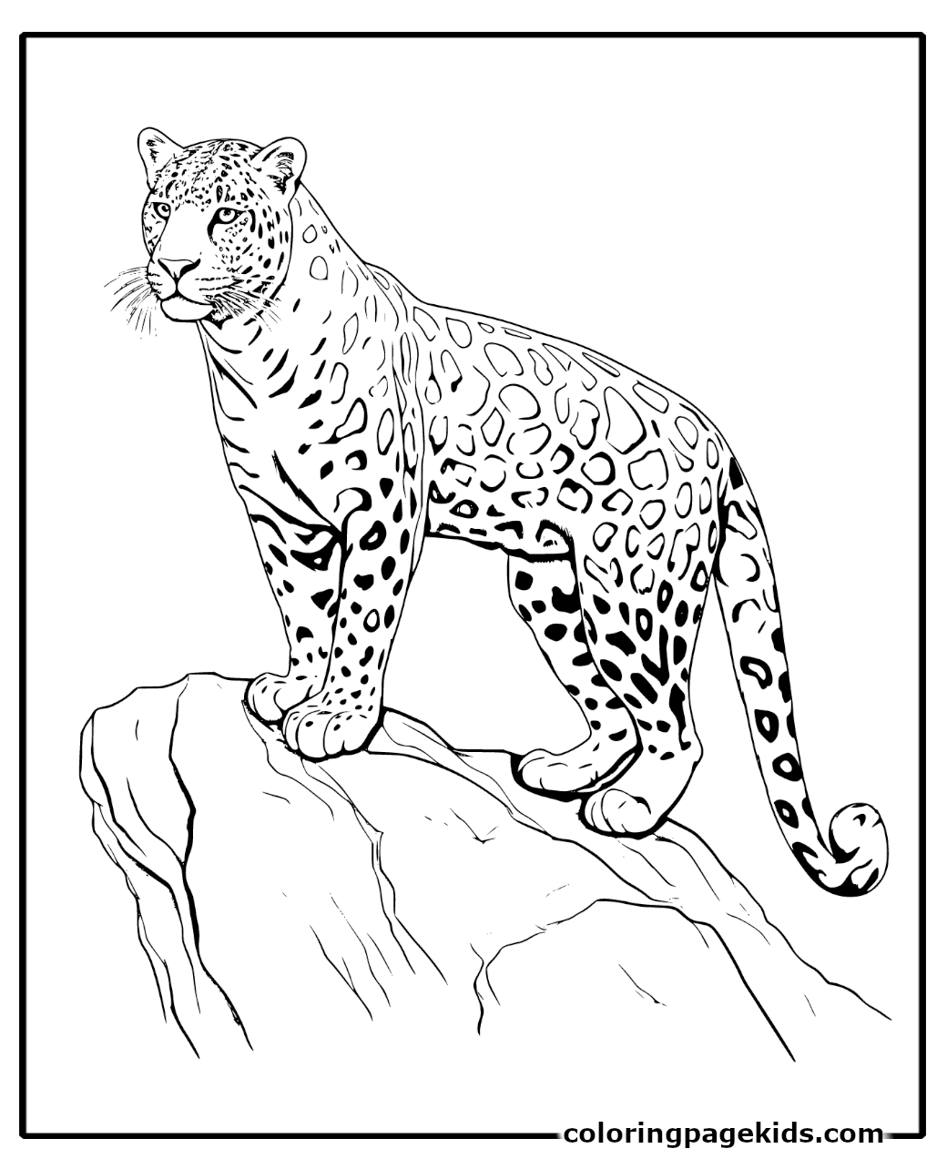 Unleashing Creativity with Leopard Coloring Pages For Kids
