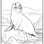 Free Printable Seal Coloring Pages For Kids