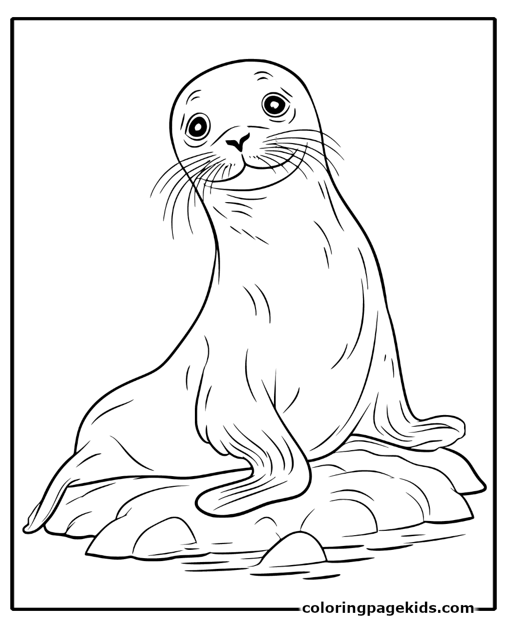 Free Printable Seal Coloring Pages For Kids - coloringpagekids.com