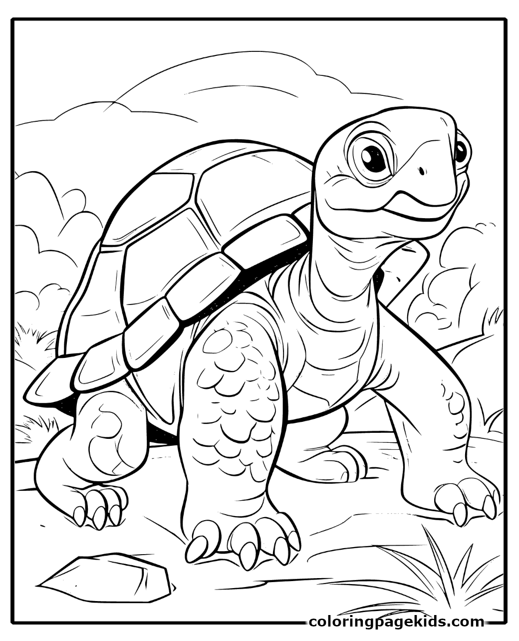 Free Printable Tortoise Coloring Pages For Kids